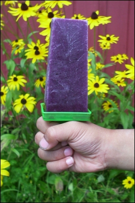 Smoothie Pop