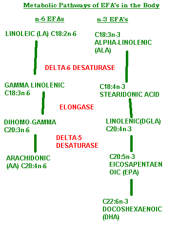 mpathways.gif