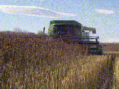 aldecombine.gif