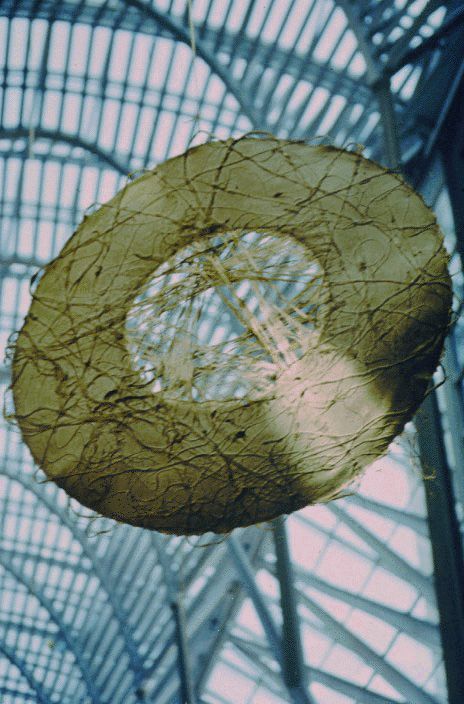 Nouveau_Pi_Disc.jpg