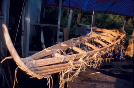 arctic_kayak_detail.jpg