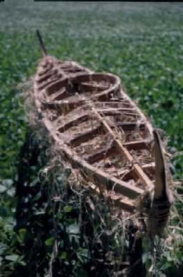 kayak_soya_sea_field.jpg